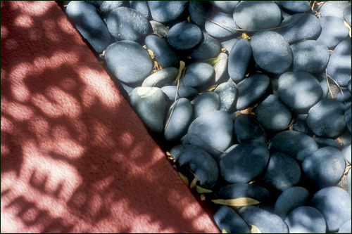 Stones and shadows, Los Angeles, California